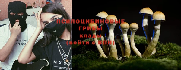 ПСИЛОЦИБИНОВЫЕ ГРИБЫ Балабаново