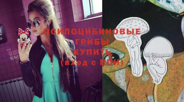 тгк Баксан