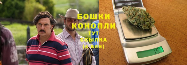 ПСИЛОЦИБИНОВЫЕ ГРИБЫ Балабаново