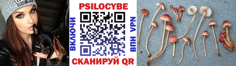mega ссылки  Белёв  Псилоцибиновые грибы мухоморы  где можно купить  